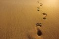 footprints